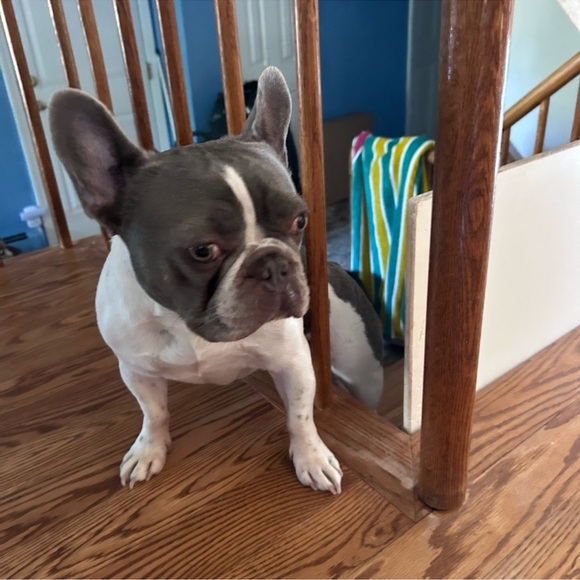 Like to be notified when I’m live - Picture 9 of 12